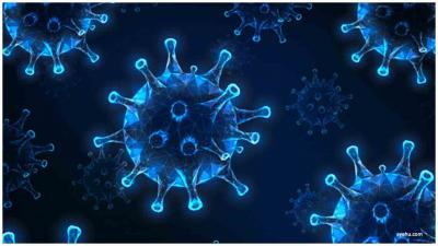 次氯酸發生器圖片