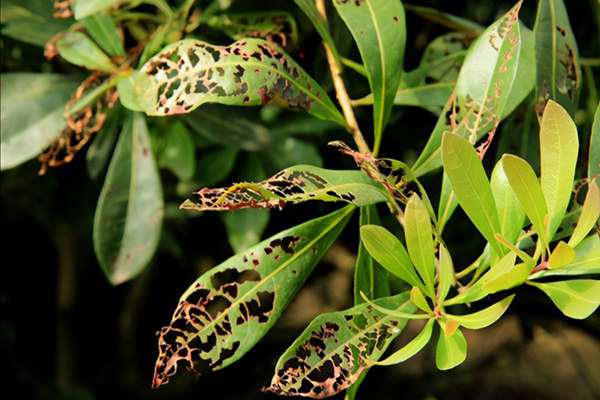 1646884783409483.jpg d5e3de883d5a48a0bc8a52675cbb9146.jpg