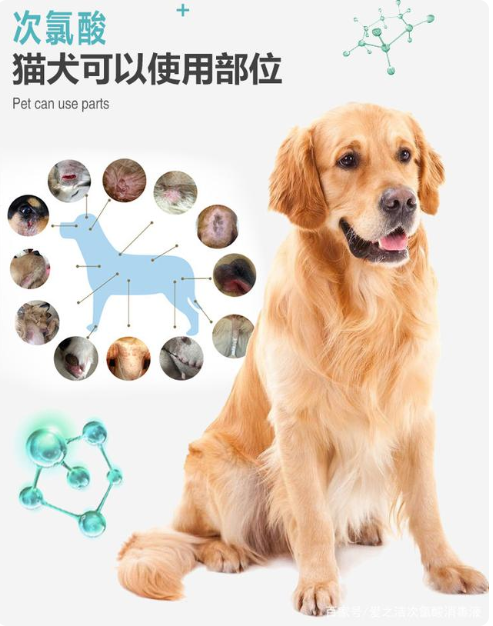 次氯酸對寵物的消毒