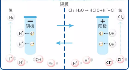 1518212BE6309E-22C4-3BDB-1B88-2F07A05CCE98-1.png