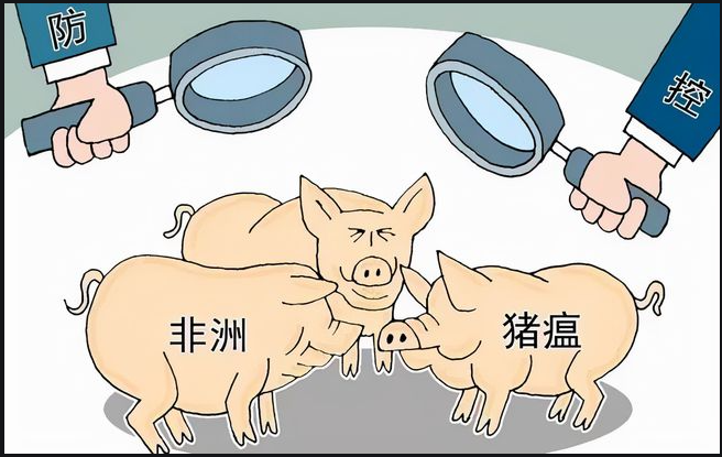 盛懷次氯酸水對豬場養(yǎng)殖行業(yè)效果明顯