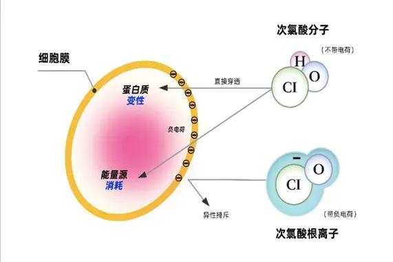 次氯酸發生器